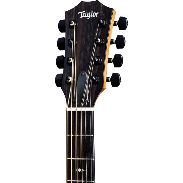 Taylor 326ce Baritone Special Edition 8-String Acoustic Electric Guitar Online