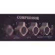 Universal Audio API 2500 Bus Compressor Online