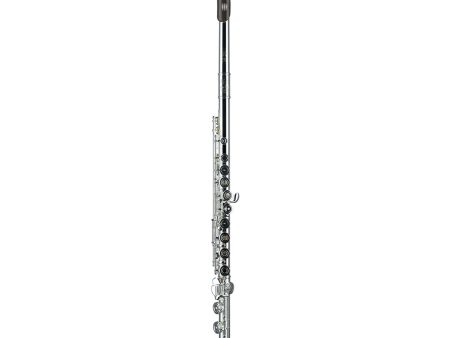 Tomasi Series 09 Intermediate Flute - Grenadilla Lip Plate Online now