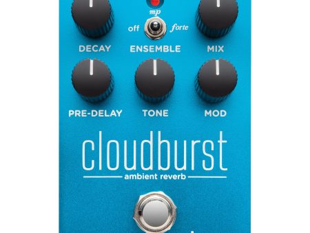 Strymon CloudBurst Flexible Reverb Pedal Discount